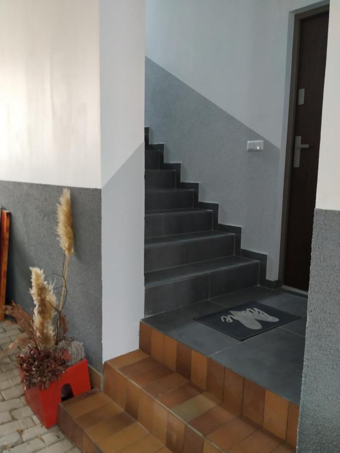 슈코이디츠 Mehrfamilien Haus 아파트 외부 사진